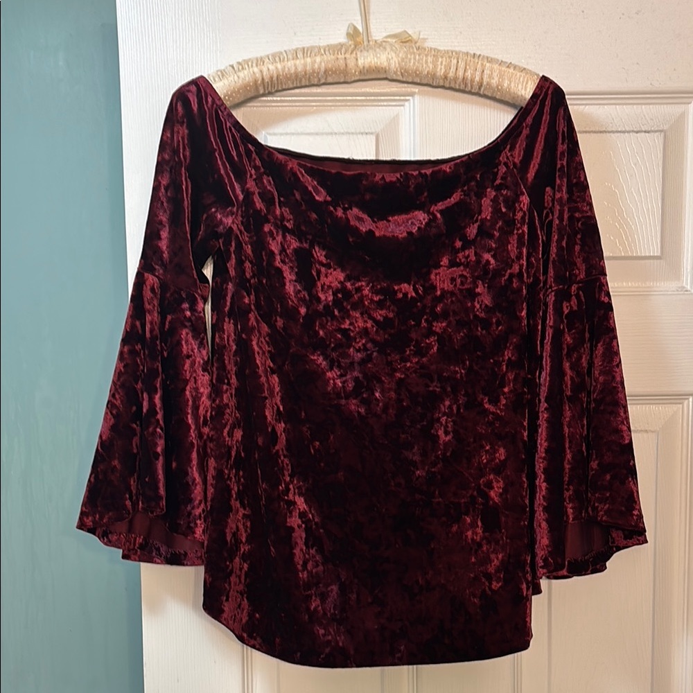 Beautiful off the shoulder velvet top